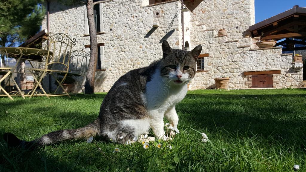 Agriturismo I Terzieri フェレンティッロ エクステリア 写真