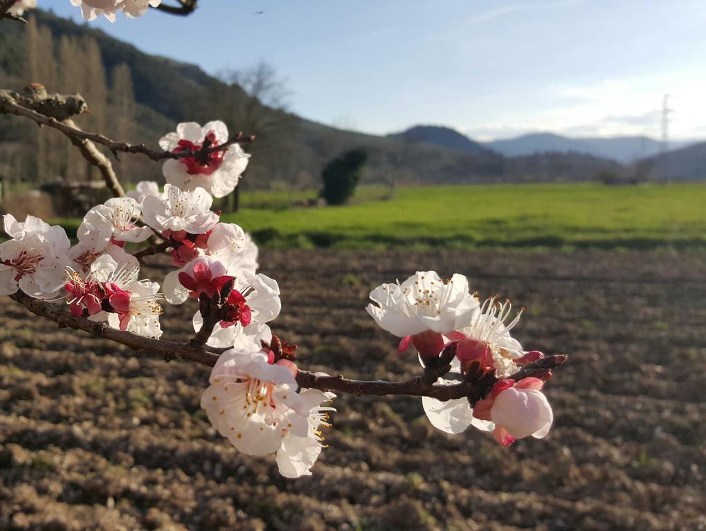 Agriturismo I Terzieri フェレンティッロ エクステリア 写真