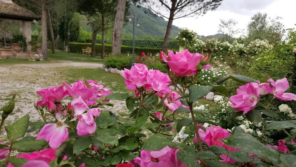 Agriturismo I Terzieri フェレンティッロ エクステリア 写真
