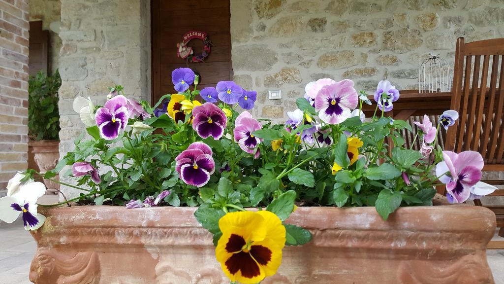 Agriturismo I Terzieri フェレンティッロ エクステリア 写真