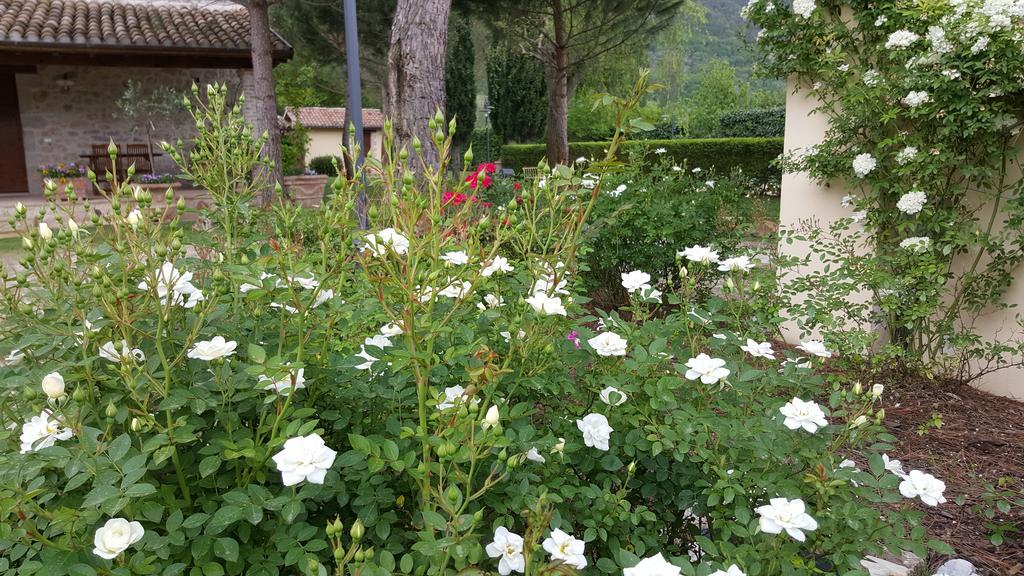 Agriturismo I Terzieri フェレンティッロ エクステリア 写真