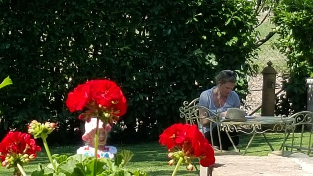 Agriturismo I Terzieri フェレンティッロ エクステリア 写真